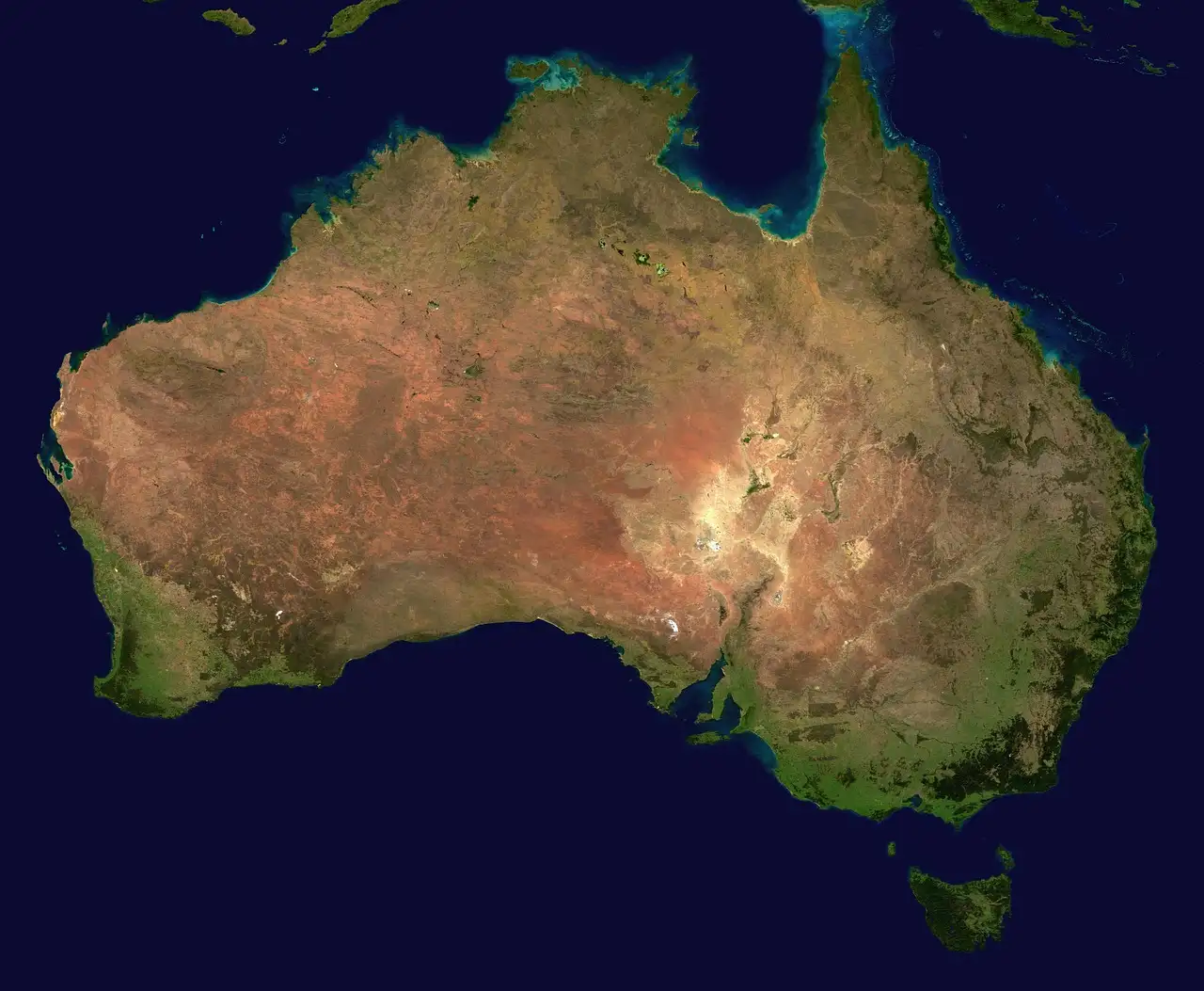 ¿Por qué el canguro arbóreo es único en Australia?