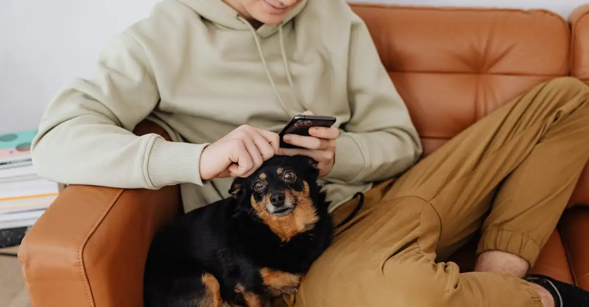 ¿Por qué los perros son únicos en su interacción social con personas?