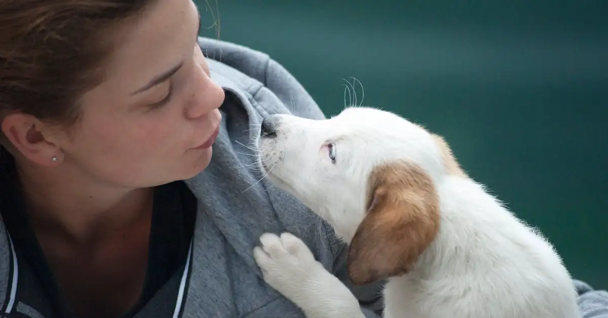 ¿Por qué los perros son únicos en su interacción social con personas?