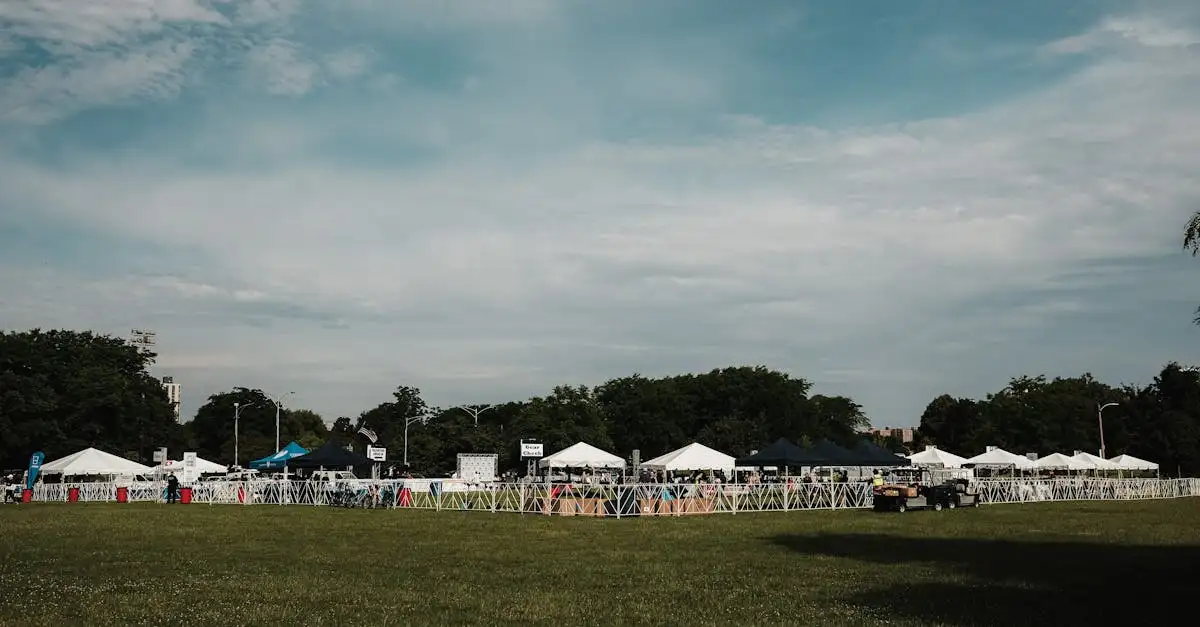 ¿Qué actividades y eventos divertidos hay en Illinois?