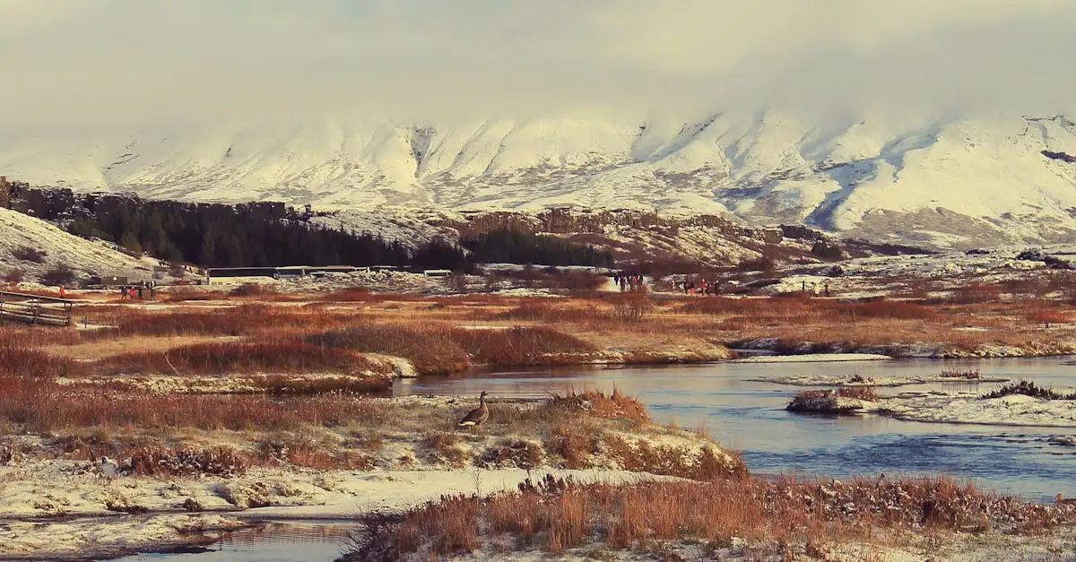 ¿Qué es el Parque Nacional Þingvellir en Islandia?