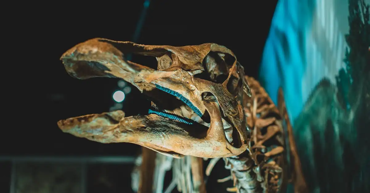 ¿Qué fósiles muestran cómo se comportaban los dinosaurios?