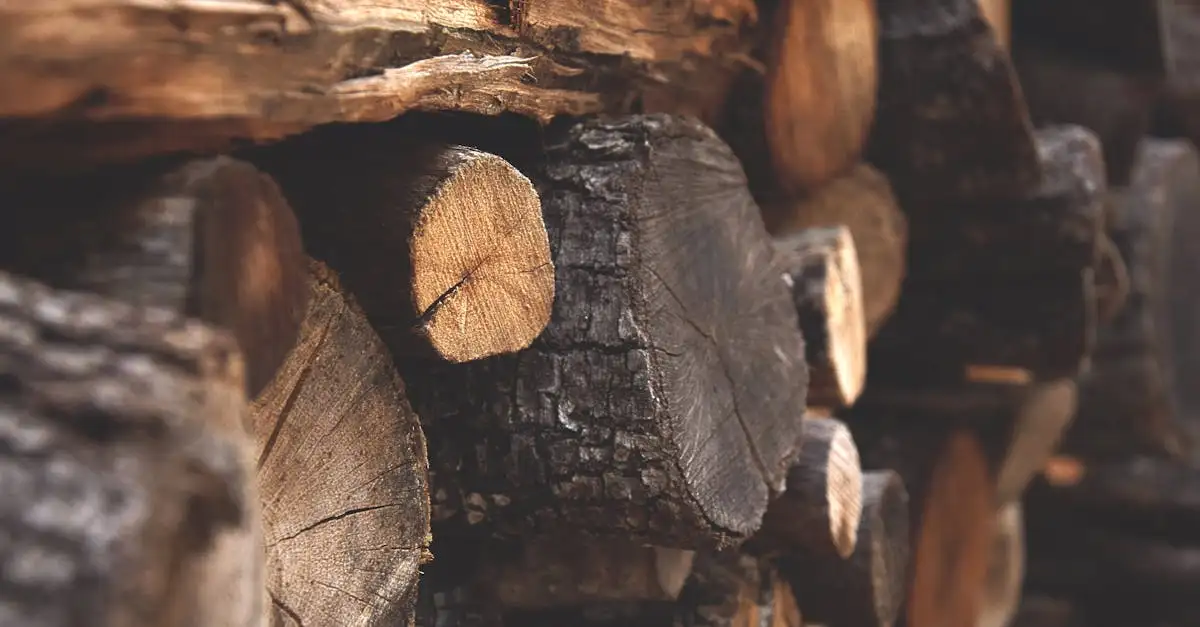 ¿Qué papel tuvo la deforestación en la cultura maya?