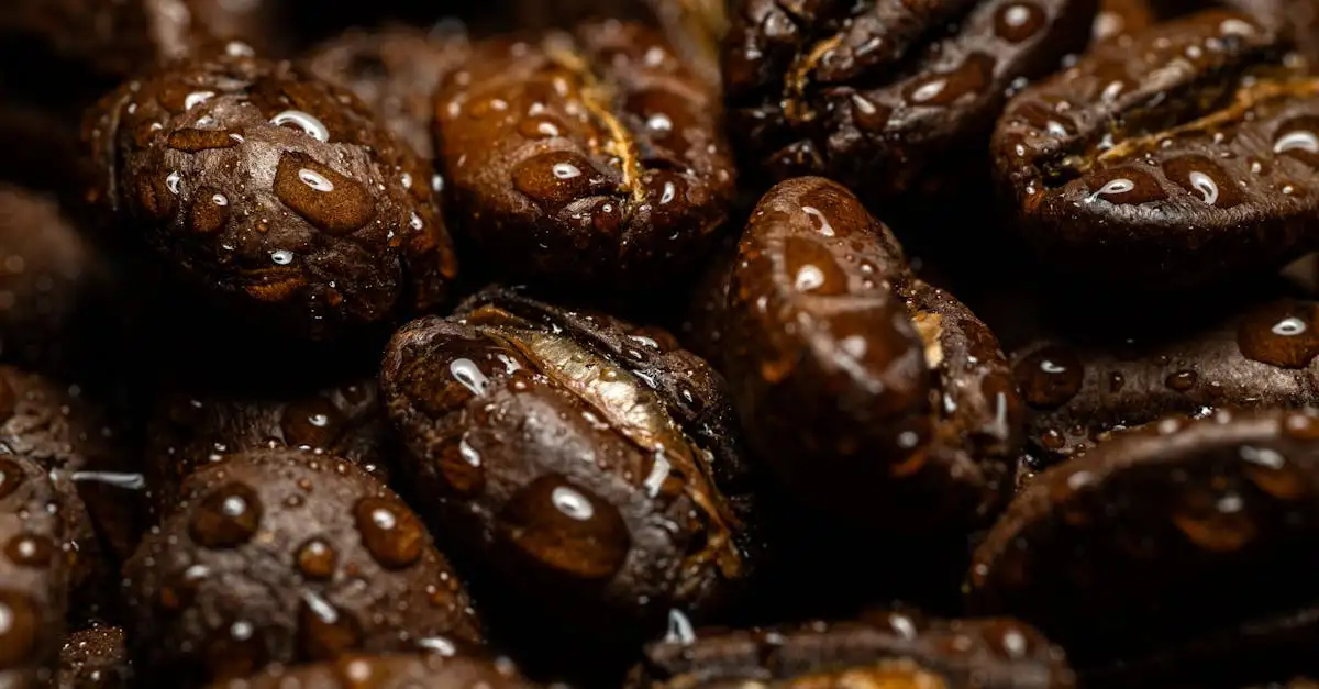 ¿Café molido: cómo ahuyentar caracoles de tus plantas?