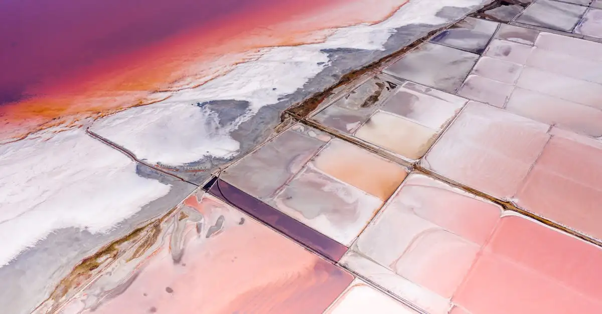 ¿Cómo afecta el Lago Urmia al medio ambiente y la sal?