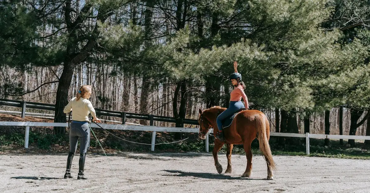 ¿Cómo se entrenaban los caballos para la guerra?