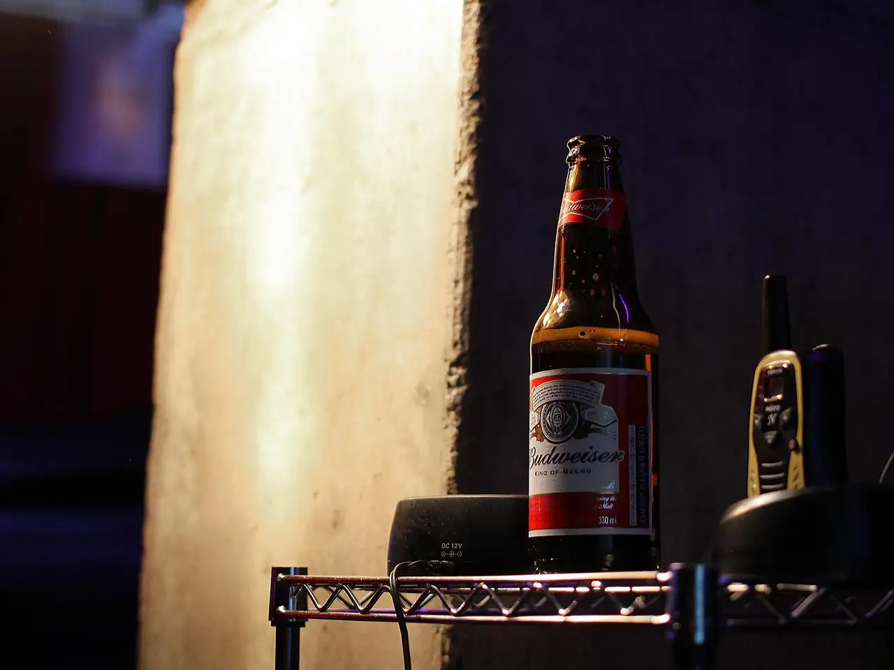 ¿Cuál es la fascinante historia de la marca Budweiser?