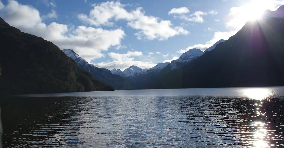 ¿Dónde está el Parque Nacional Fiordland en Nueva Zelanda?