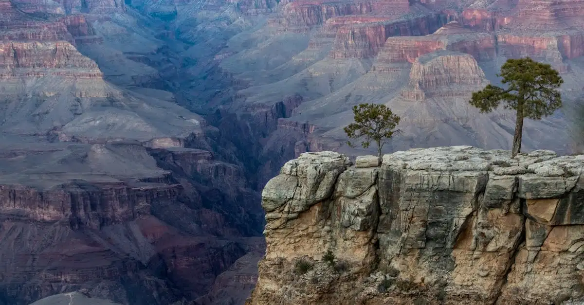 ¿Dónde se encuentra el famoso Gran Cañón en un parque natural?