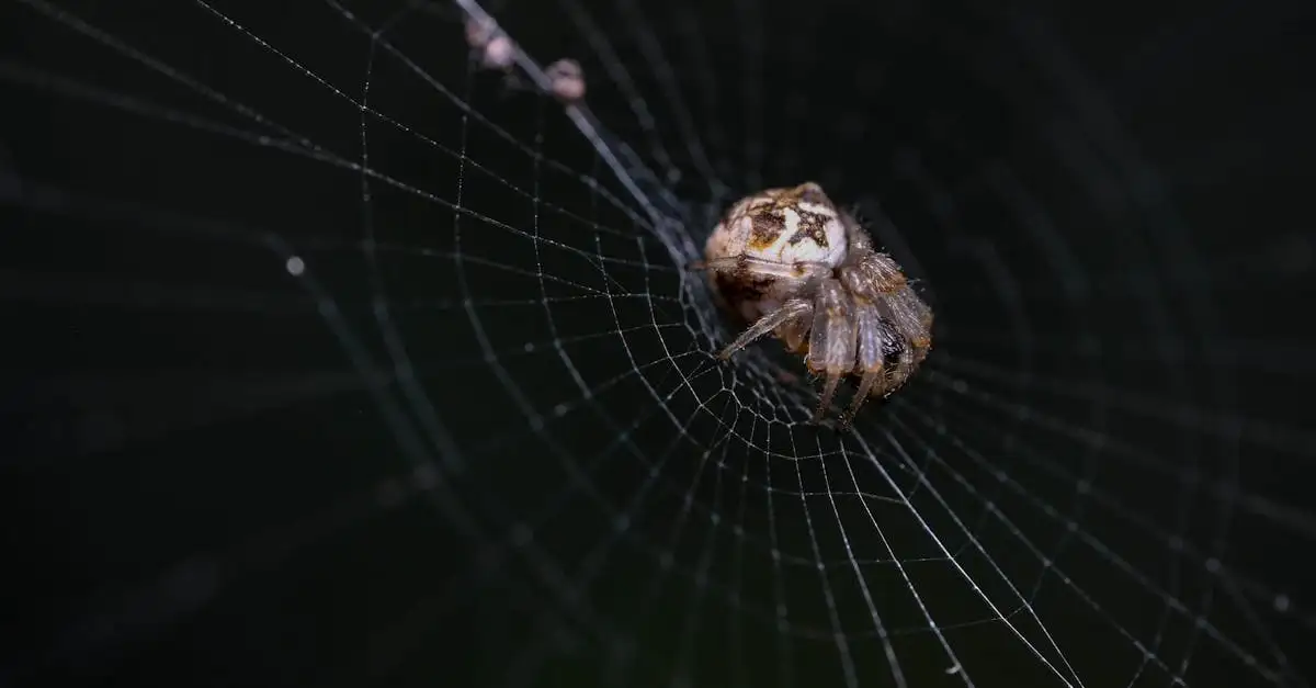 ¿El agua de ajo es efectiva contra insectos en el jardín?