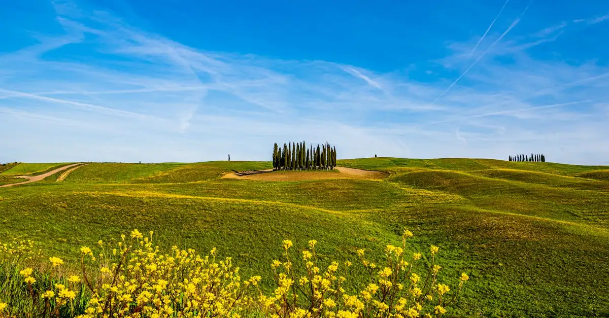 ¿En qué región de Italia se encuentra el Parque Val d'Orcia?