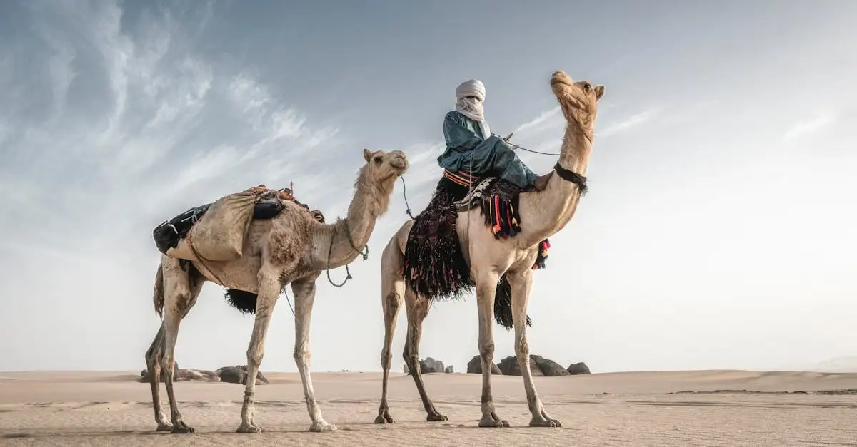 ¿Por qué es impresionante el desierto del Sahara en Argelia?