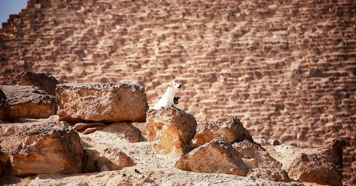 ¿Qué simbolizaban los perros en el antiguo Egipto?