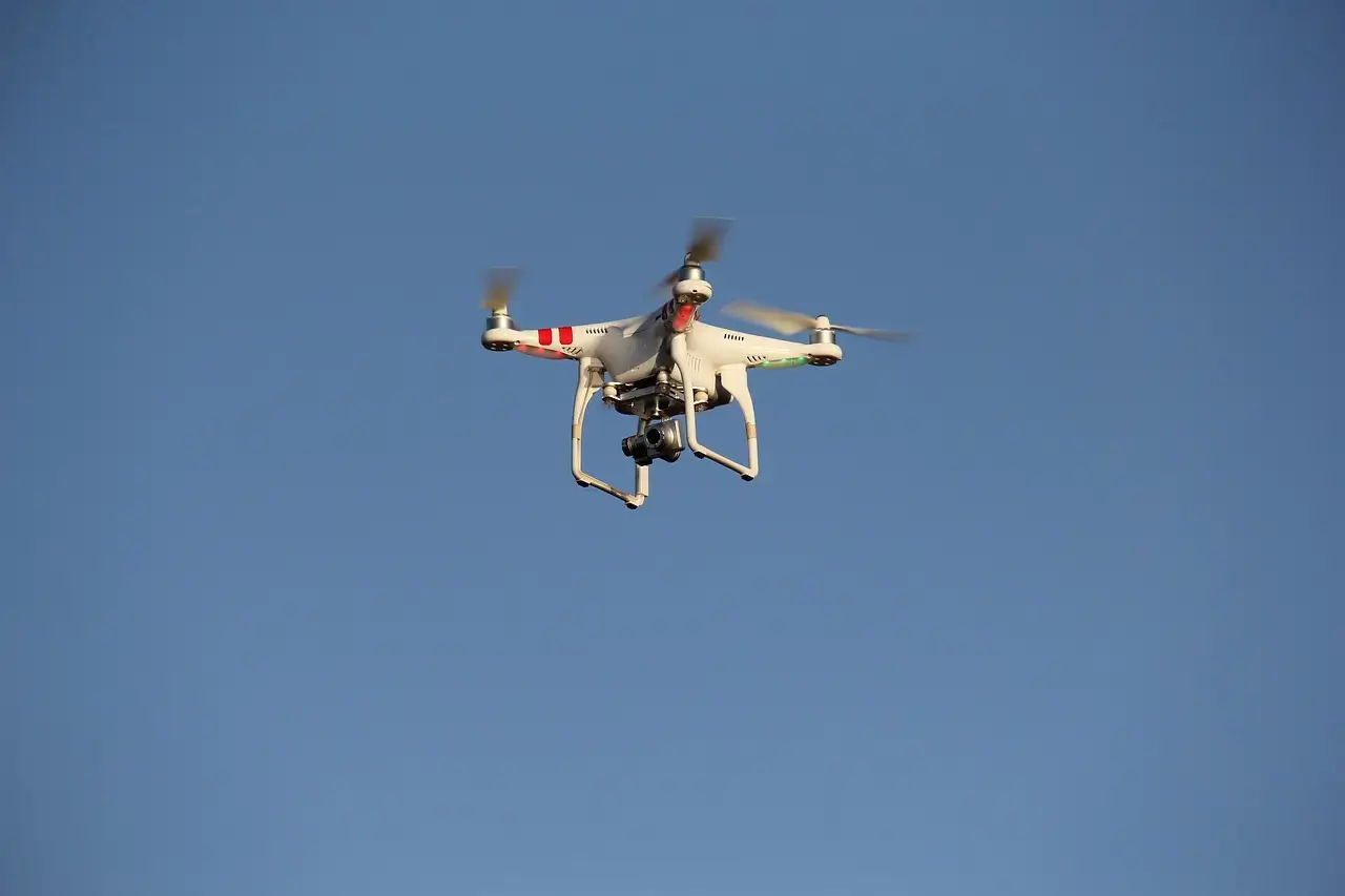 ¿Qué tecnologías ayudan a seguir la migración de aves?