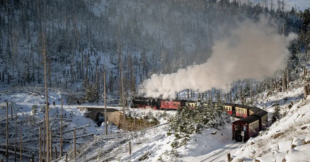 ¿Revolucionó el tren de vapor el transporte de personas?