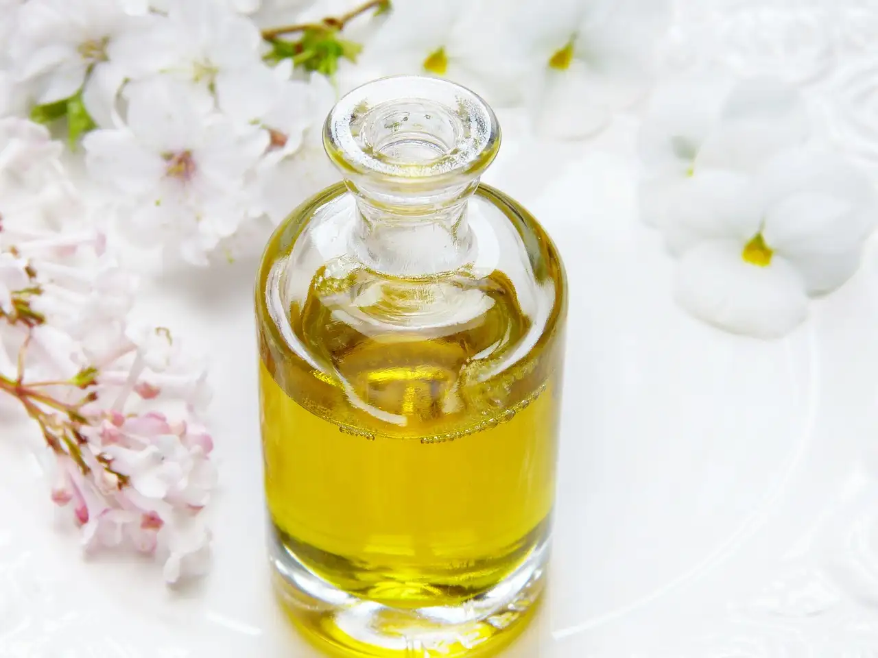 ¿Aceite de girasol o de oliva: cuál es más saludable?