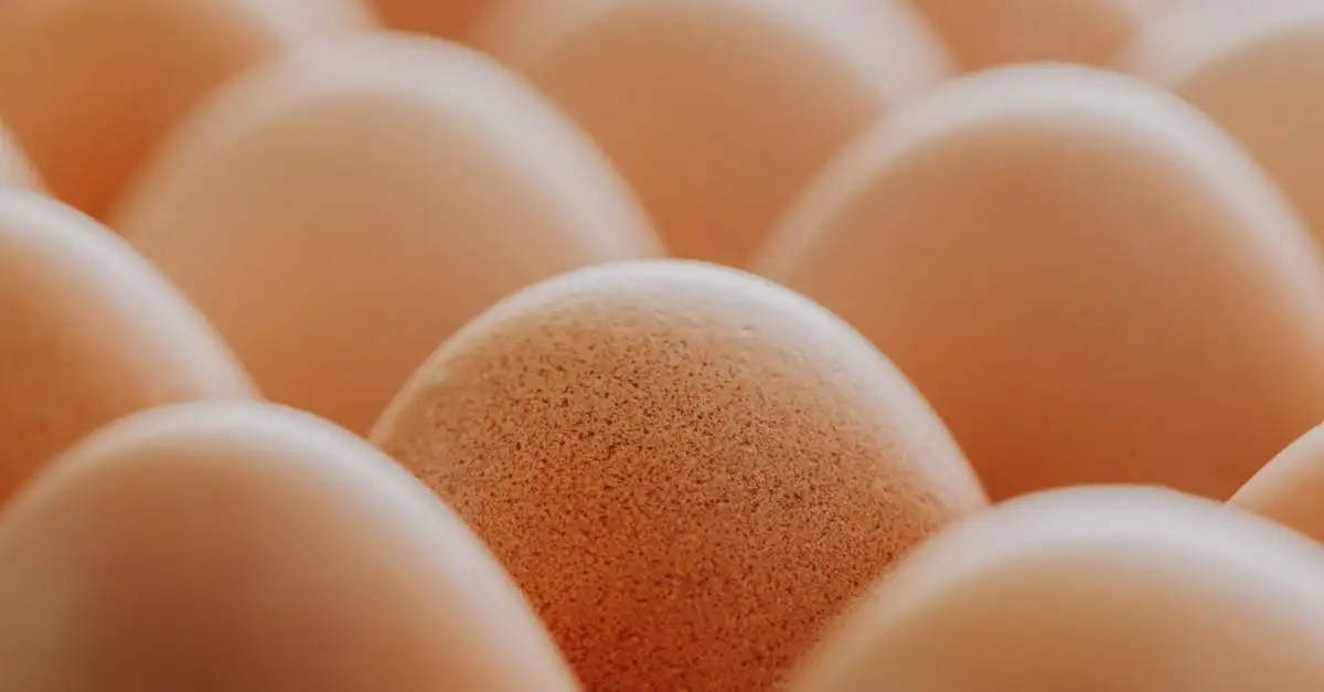 ¿Comer 4 huevos al día es saludable para tu dieta?