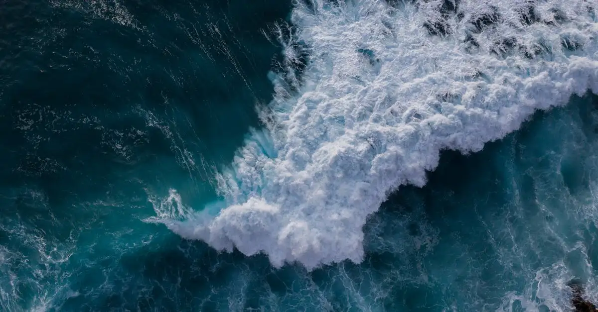 ¿Cómo afectó el tsunami de 1960 a las costas de Hawái?
