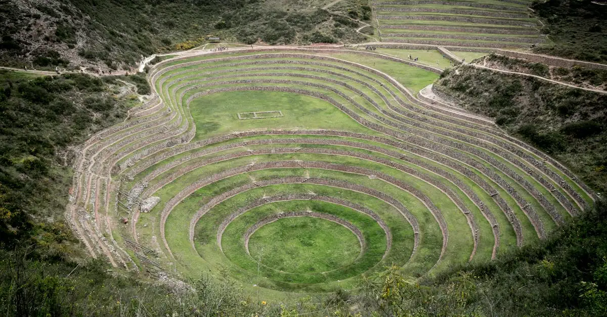 ¿Cómo eran las ciudades incas? Descúbrelo aquí.