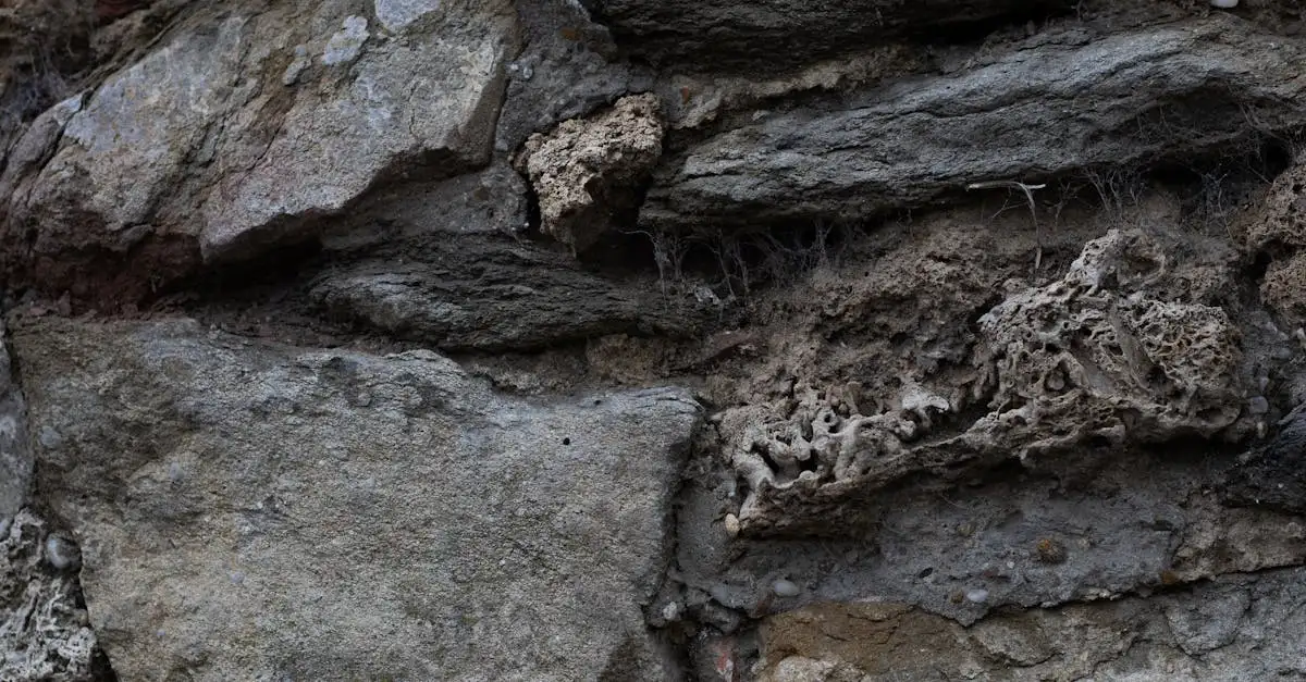 ¿Cómo fabricaban los neandertales sus herramientas de piedra?