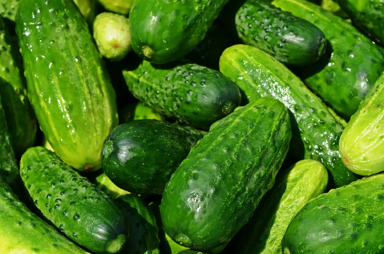 ¿Cómo lograr verduras crujientes con agua helada?
