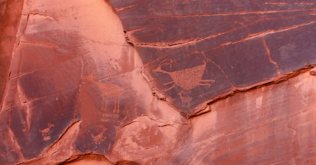 ¿Cuál es la historia breve de Arizona en pocos pasos?
