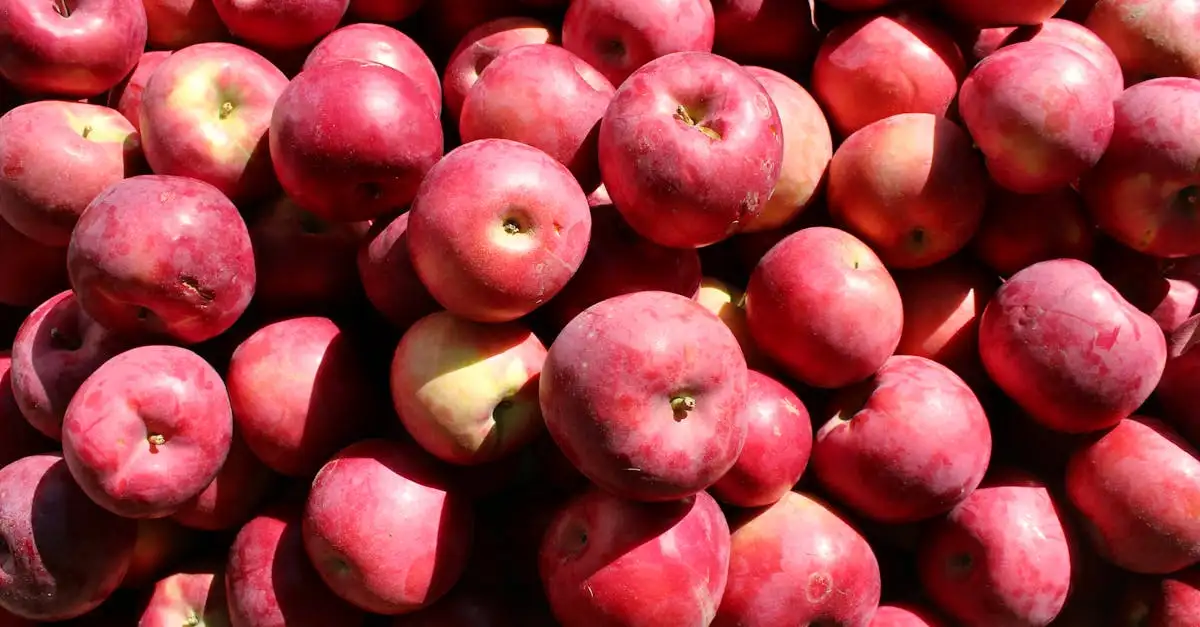 ¿Cuáles son las 3 especialidades culinarias de Vermont?