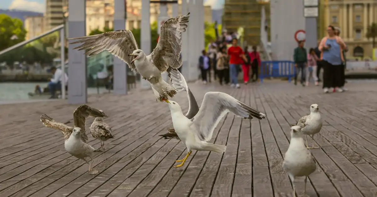 ¿Cuáles son las aves clave en la dispersión de semillas?