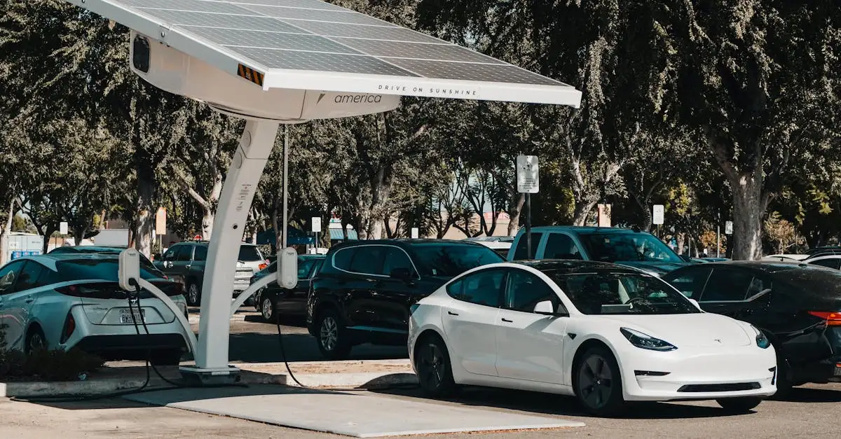 ¿Cuánto tiempo se tarda en cargar un coche eléctrico en la autopista?