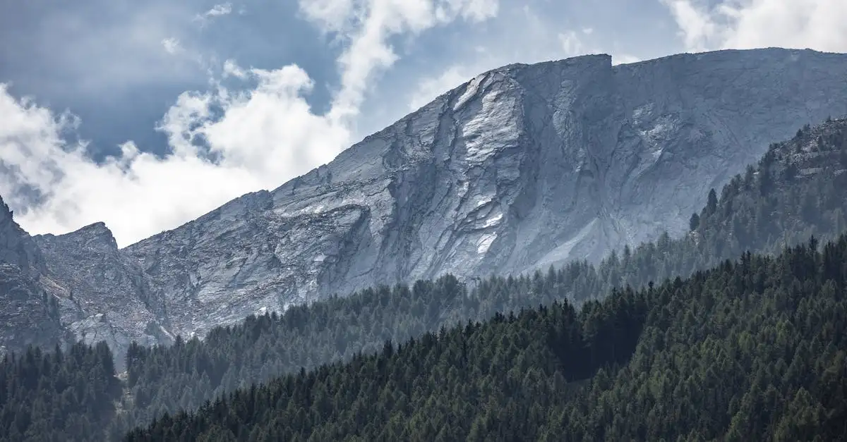 ¿Qué es el Parque Nacional Gran Paradiso en Italia?