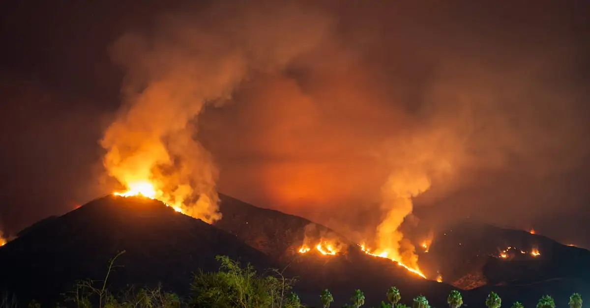 ¿Qué provocó los incendios forestales en California 2018?