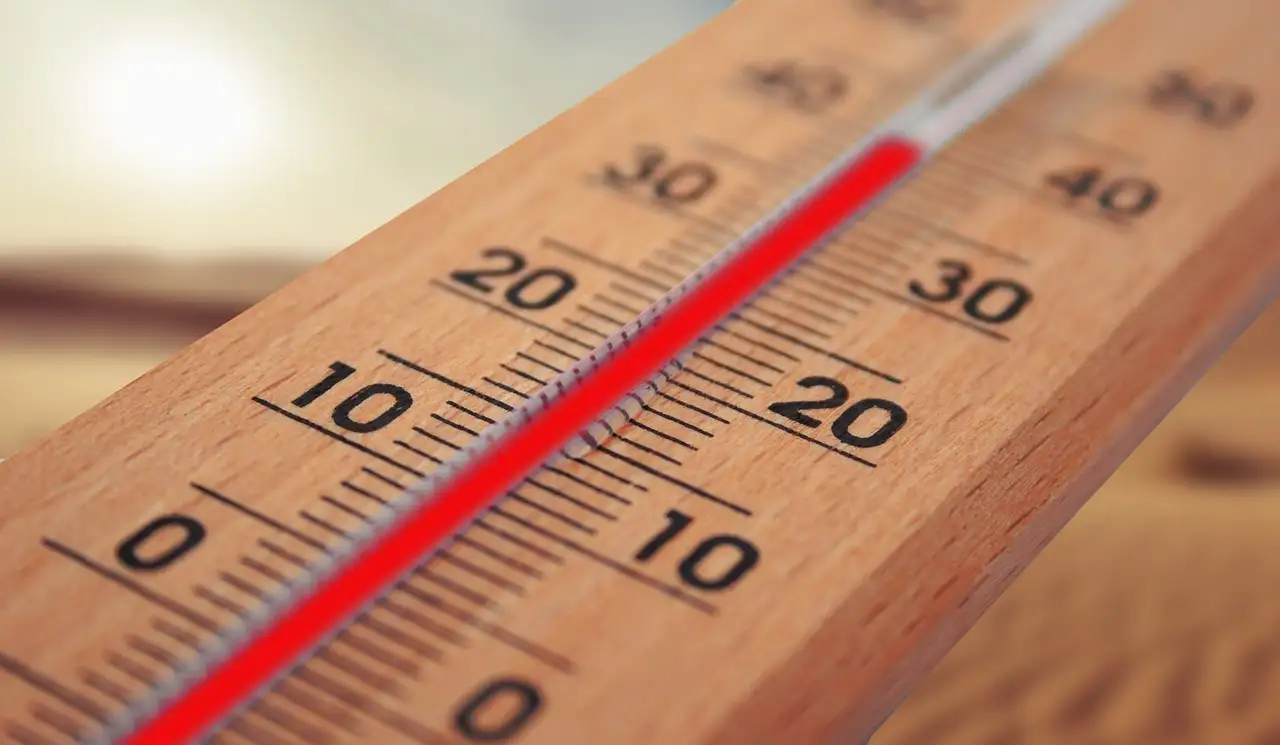 ¿A qué temperatura es ideal hacer el verticutado?