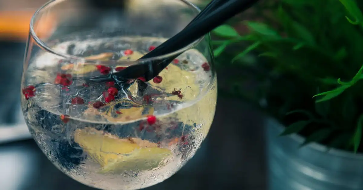 ¿Con qué gin combinar la tónica de flor de saúco?