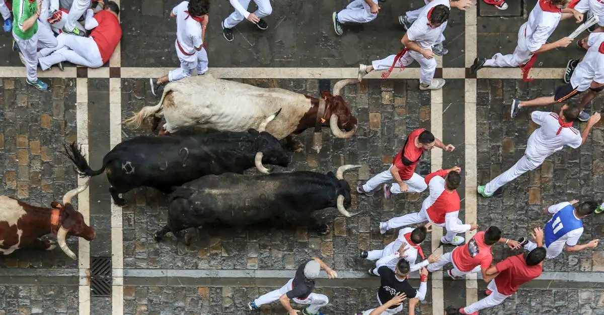 ¿Cuáles son las mejores actividades y eventos en España?