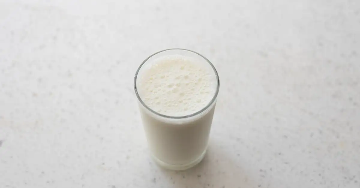 ¿Cuáles son los beneficios de la leche de soja para la salud?