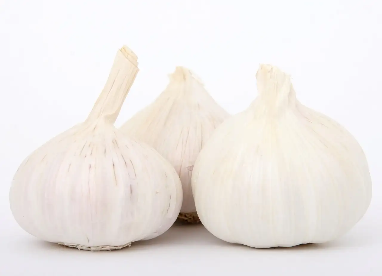 ¿Cuáles son los beneficios del ajo para la salud?