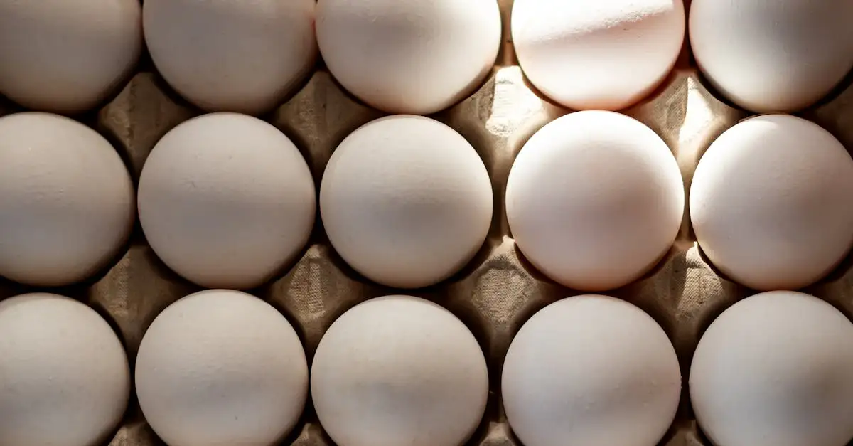 ¿Desayunos saludables para colesterol alto? ¡Descúbrelos aquí!