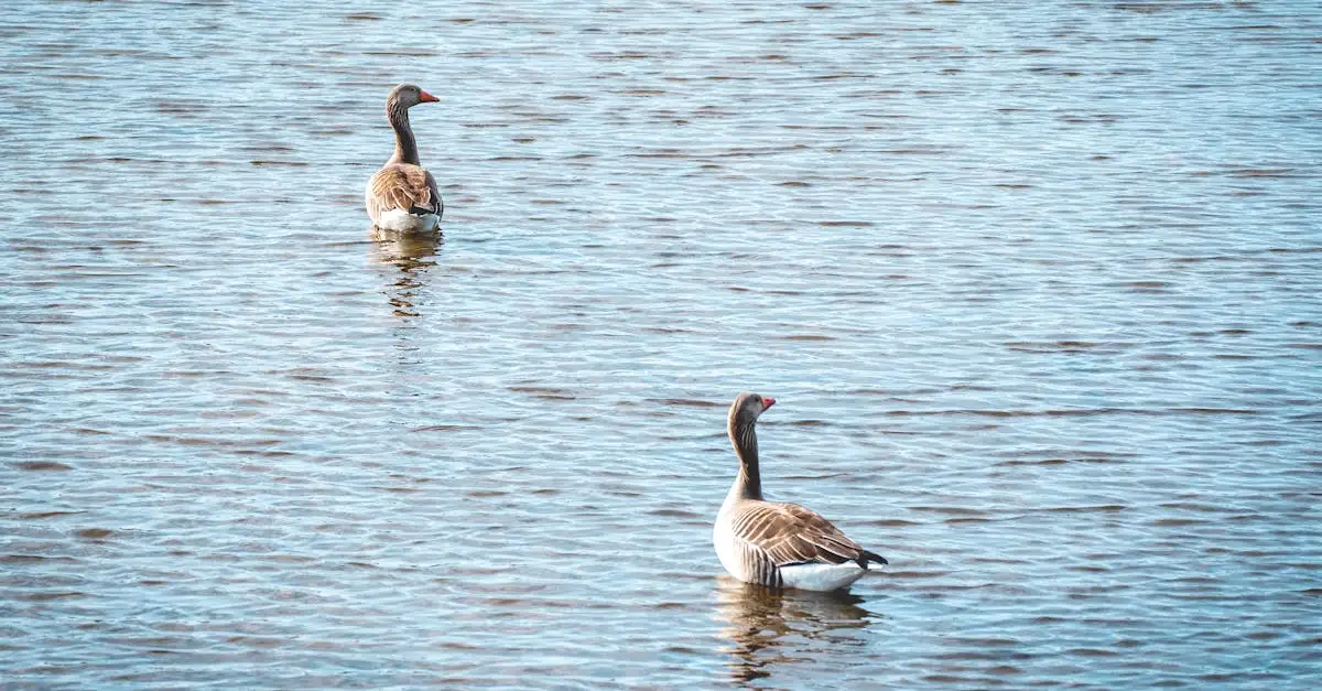 ¿Dónde se ubica el Parque Nacional Lake Nakuru en Kenia?