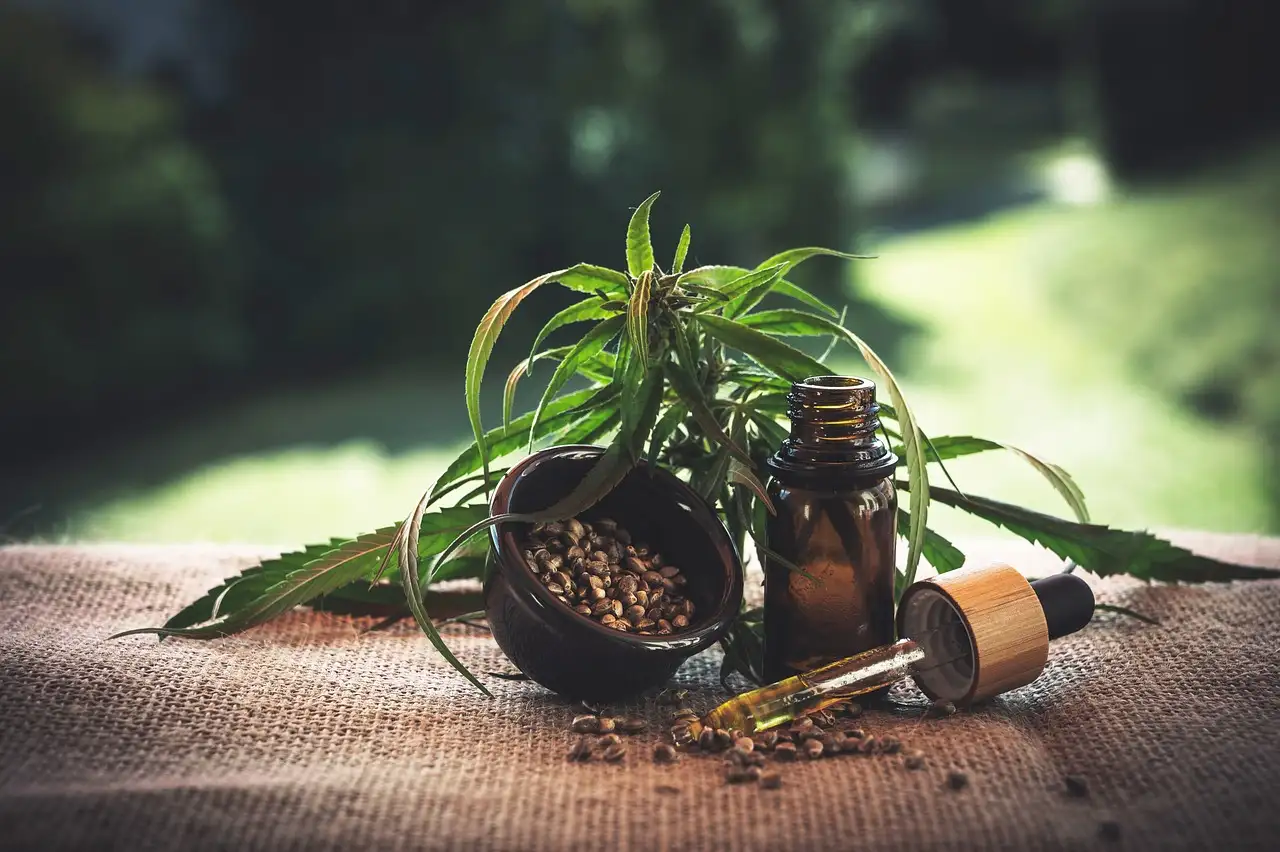 ¿Para qué sirve el aceite de krappa y cuáles son sus beneficios?