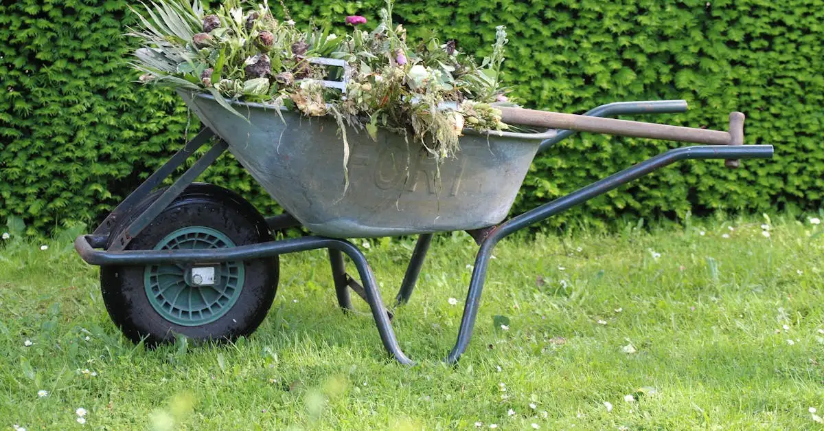 ¿Para qué sirve el compost y cuáles son sus beneficios?