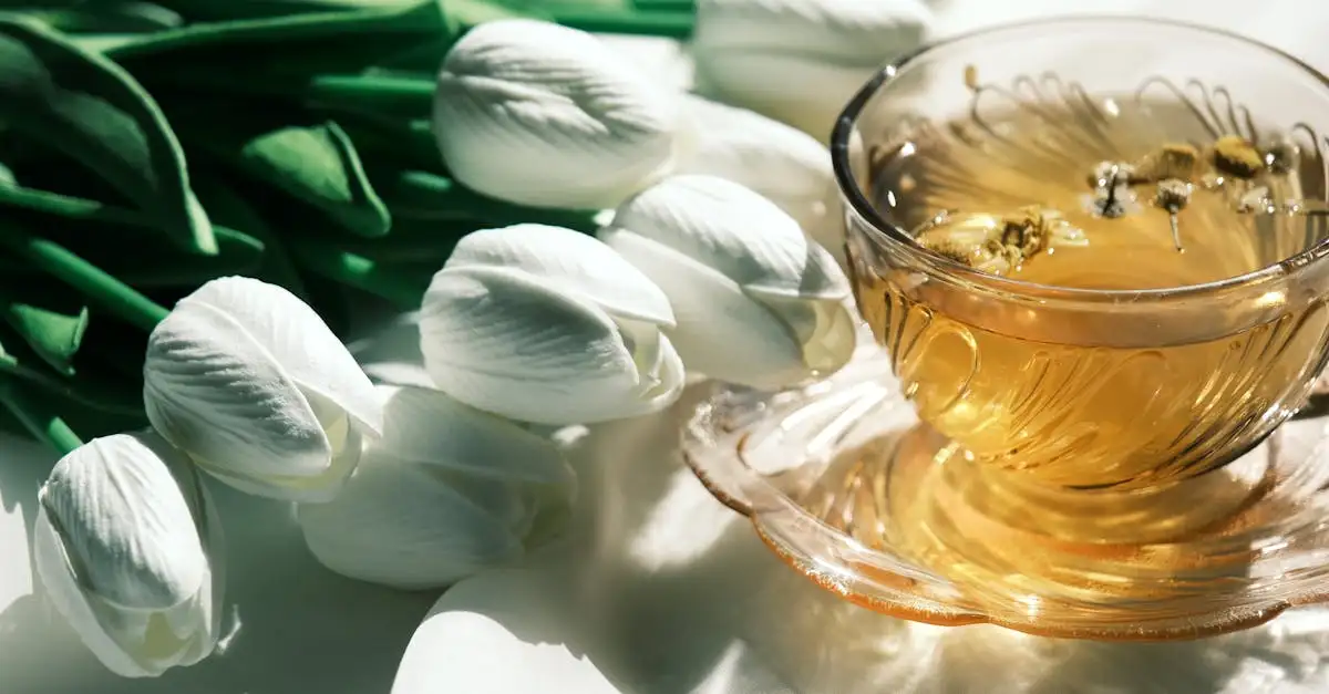 ¿Para qué sirve la infusión de hierro y cuáles son sus beneficios?