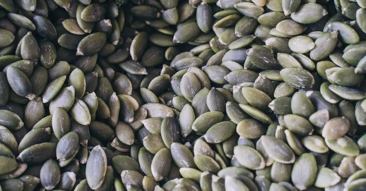 ¿Para qué sirven el selenio y el zinc? Beneficios esenciales.