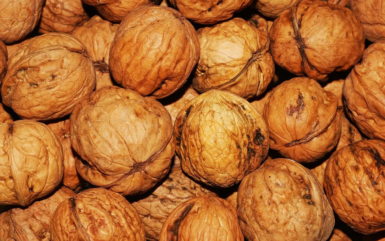 ¿Para qué sirven las nueces y cuáles son sus beneficios?