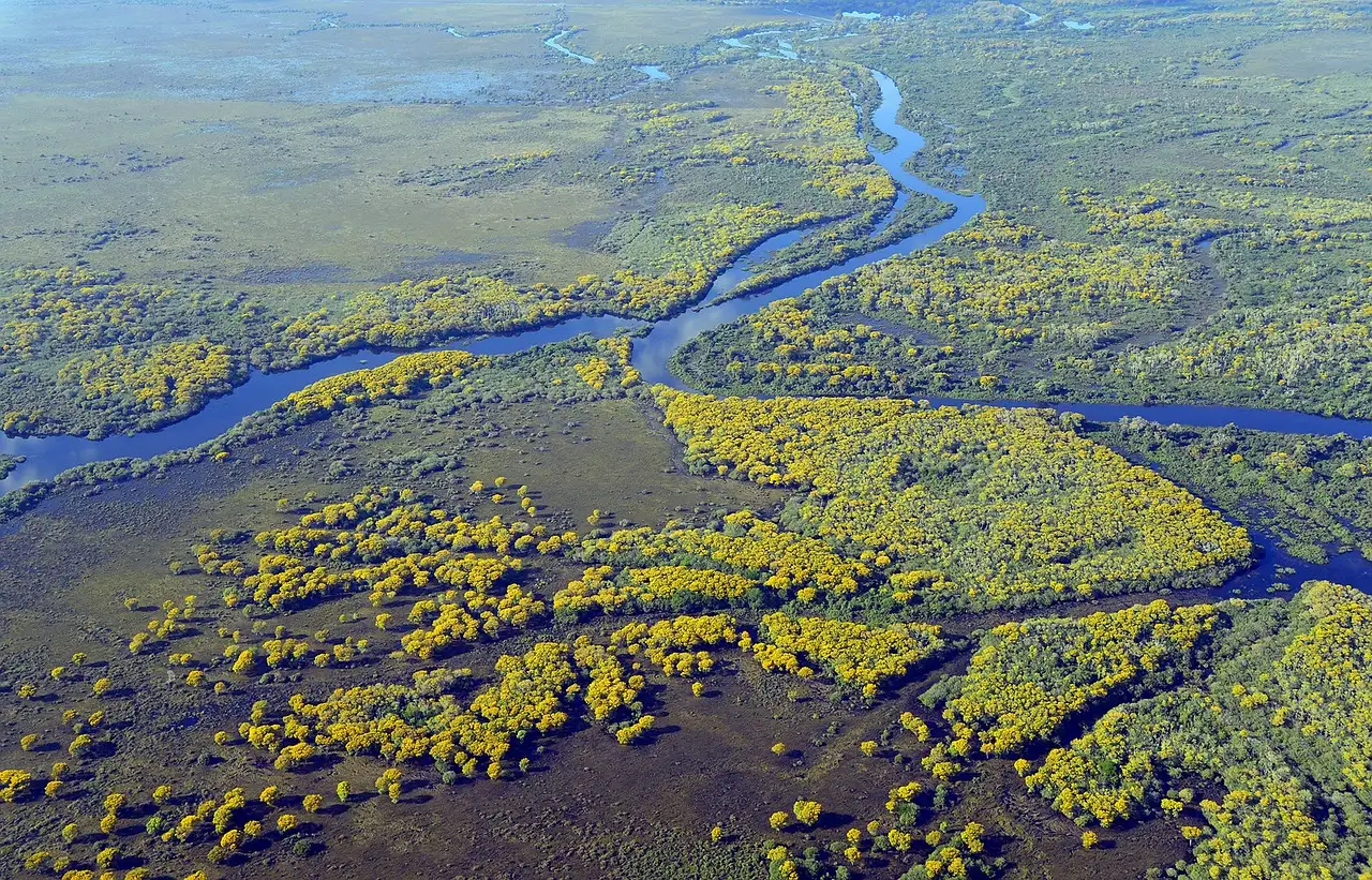 ¿Por qué es importante el Pantanal en Brasil?