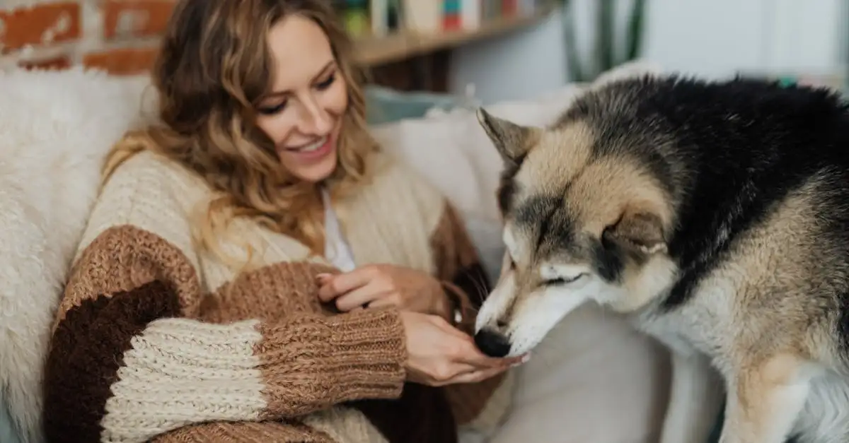 ¿Pueden crear artículos interesantes sobre perros?