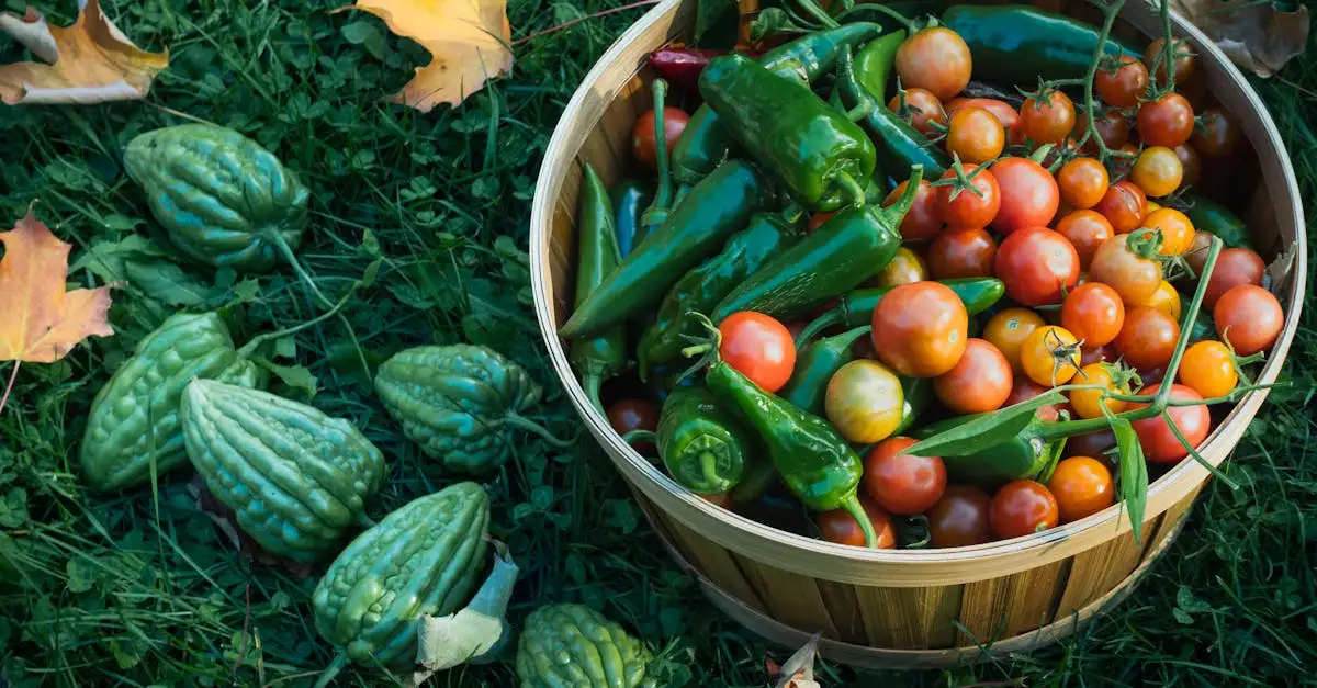 ¿Qué verduras son perfectas para acompañar el pescado?