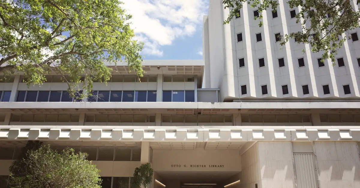 ¿Cómo nacieron las universidades como centros de investigación?