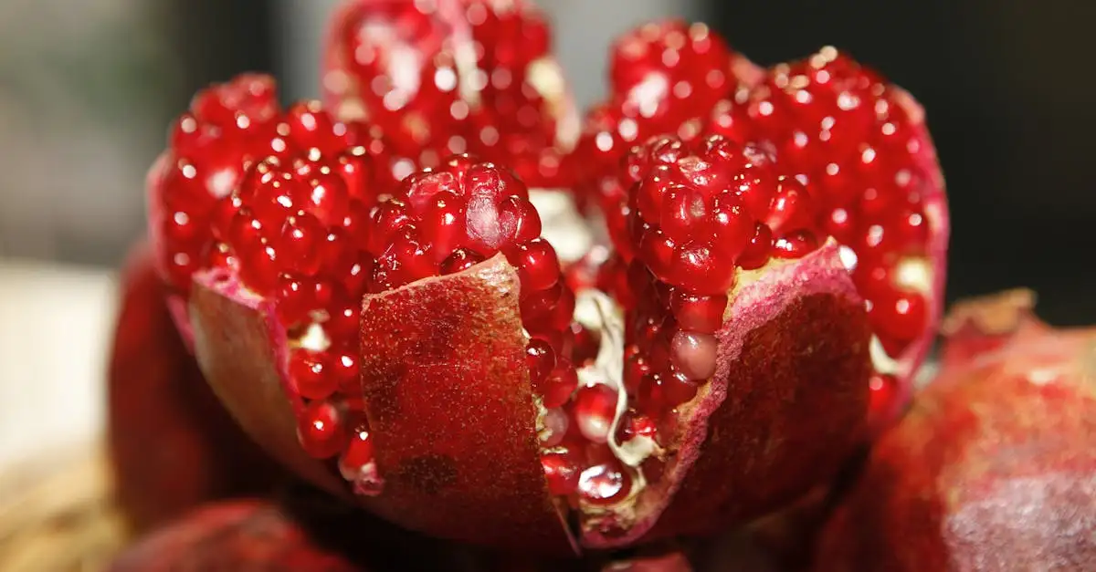 ¿Cuáles son los beneficios del resveratrol para la salud?