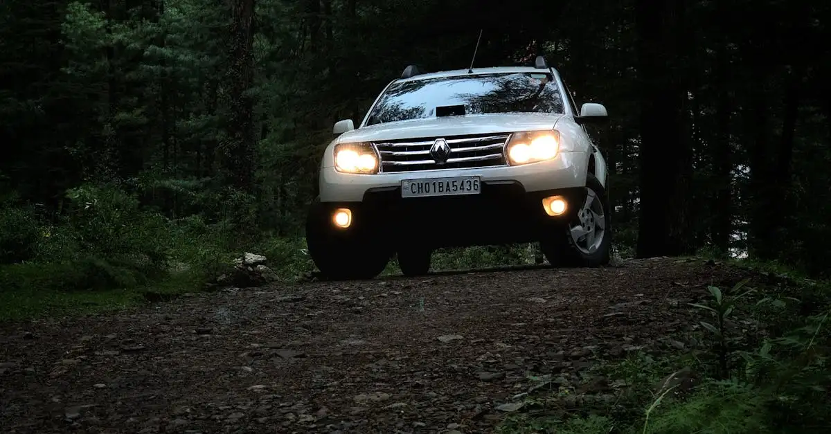 ¿Cuáles son los problemas comunes del Renault Kadjar?