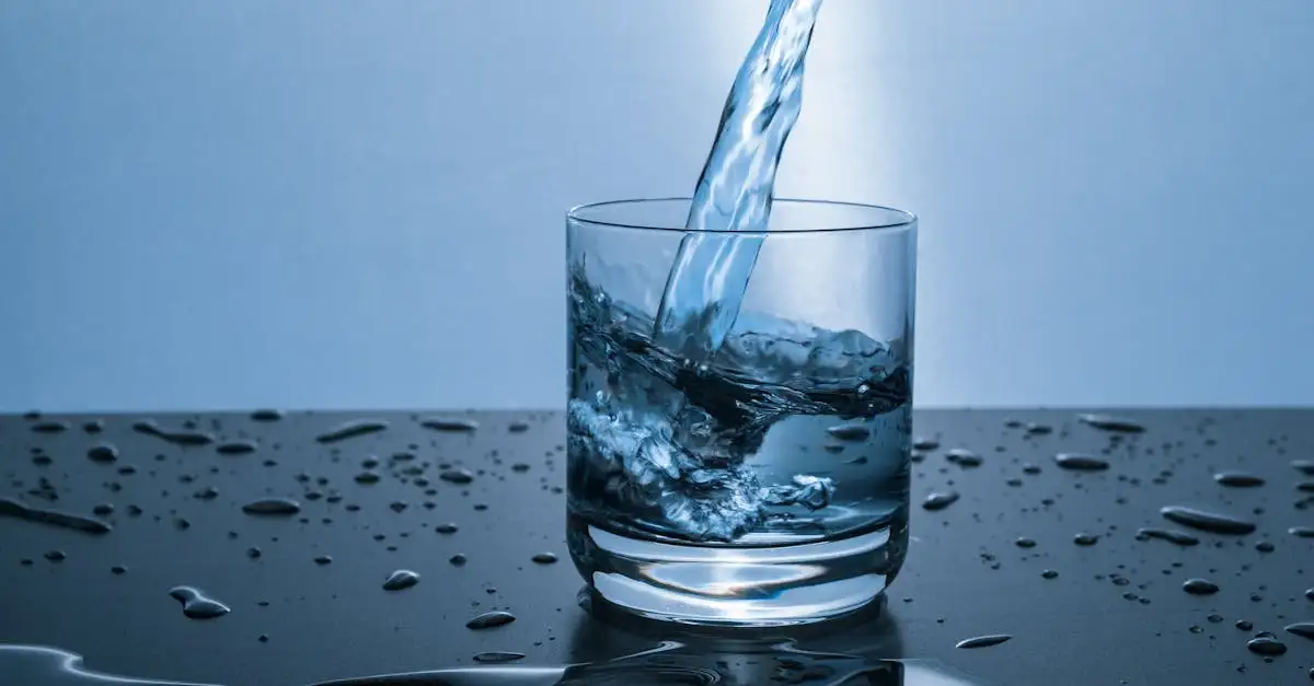 ¿Cuánta agua necesitas beber al día para estar saludable?